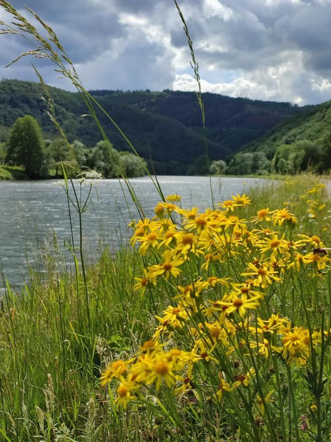 Entre Meuse Et Foret Revin エクステリア 写真