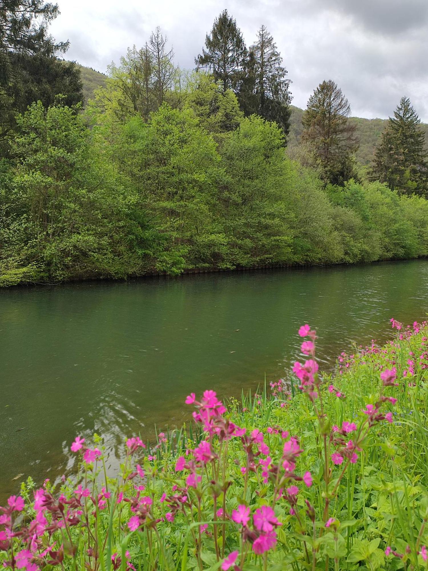 Entre Meuse Et Foret Revin エクステリア 写真