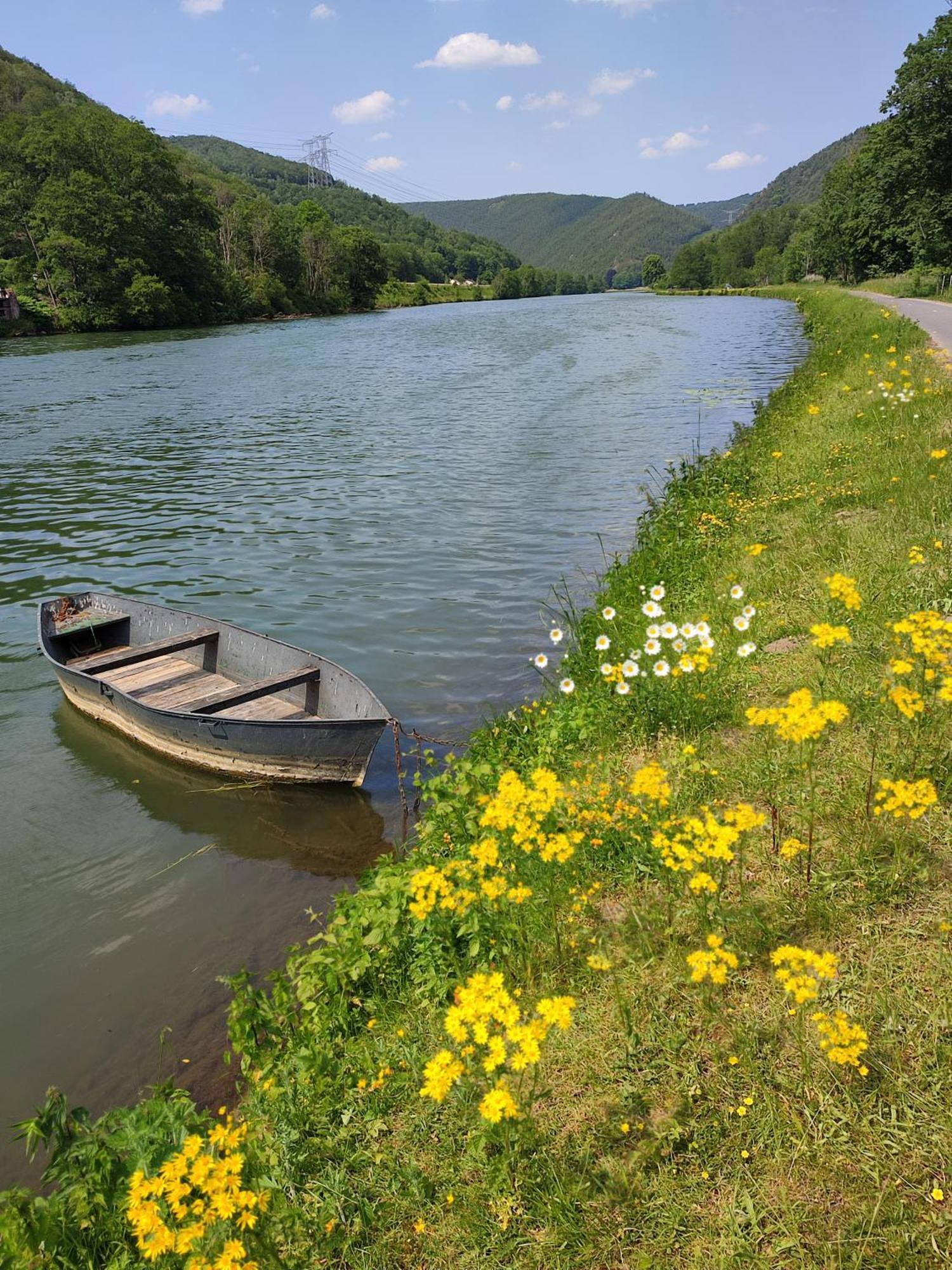 Entre Meuse Et Foret Revin エクステリア 写真