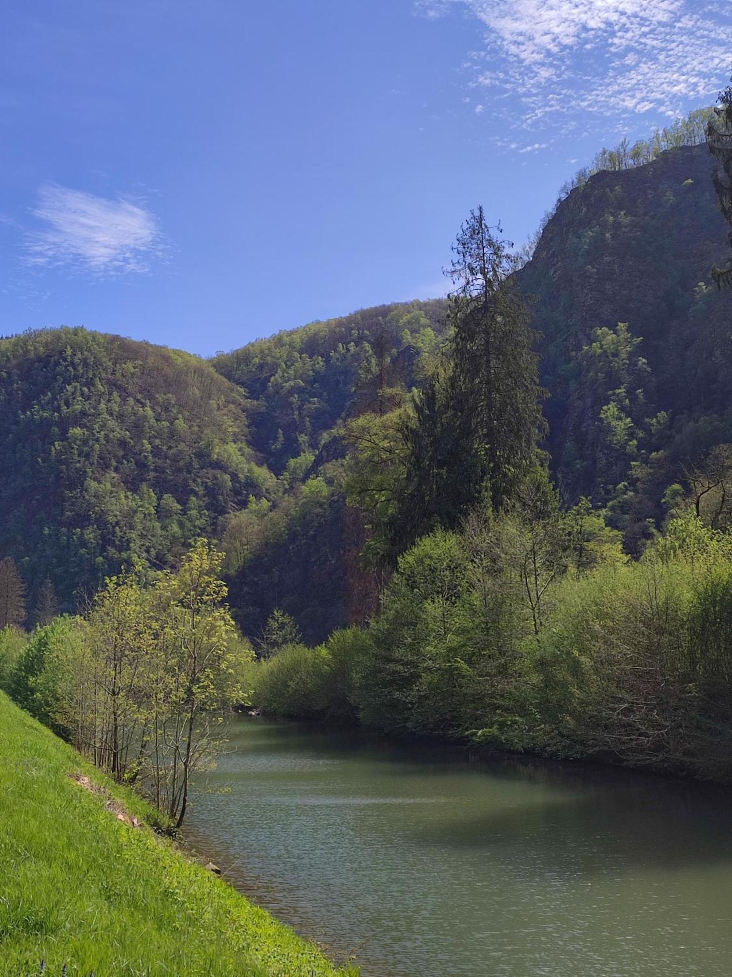 Entre Meuse Et Foret Revin エクステリア 写真